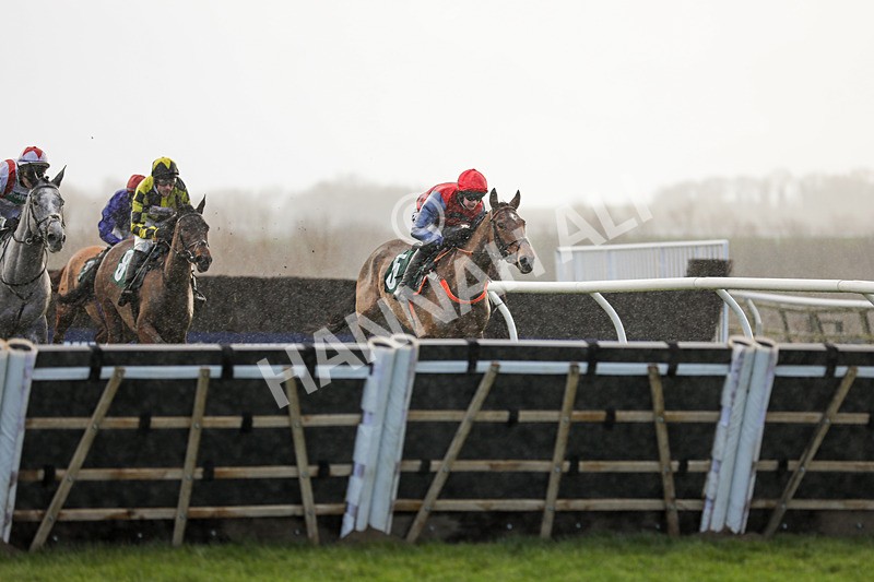 281223-Race 4-Lavida Adiva-3402 - Race 4