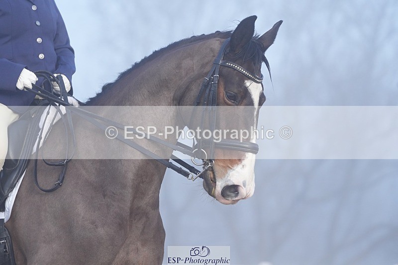 260213-090947-00505 - 105-Nicola.Seal