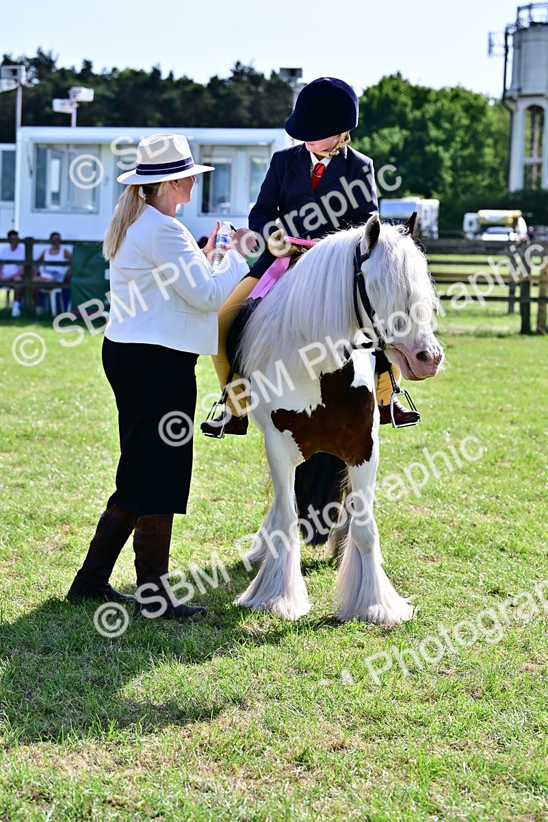 SBM_09441 - Class 63-65 - Traditional Gypsy Cobs In Hand & Ridden