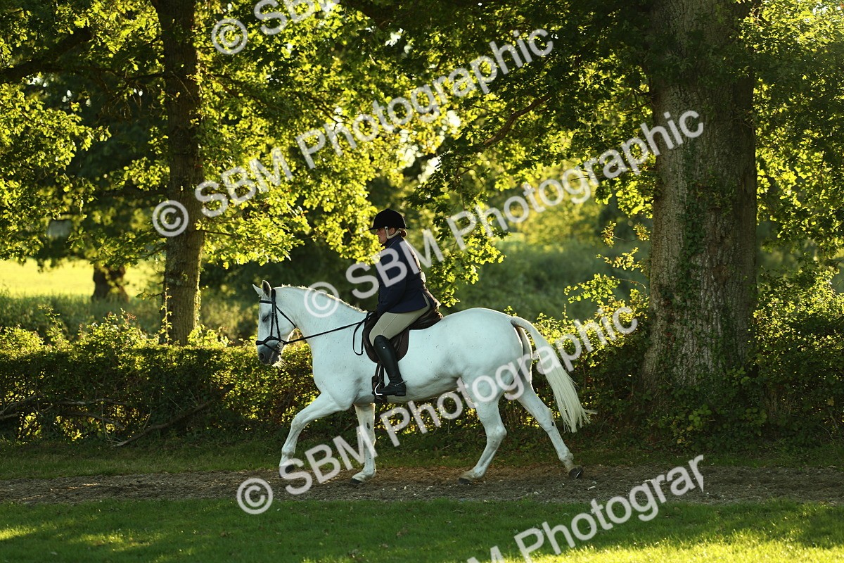 SBM_56436 - S14 - Riding Club Horse