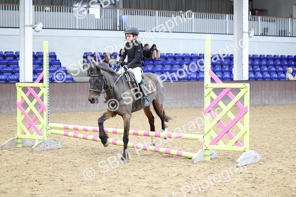 SBM_007405 - Class 2 - 50cm showjumping