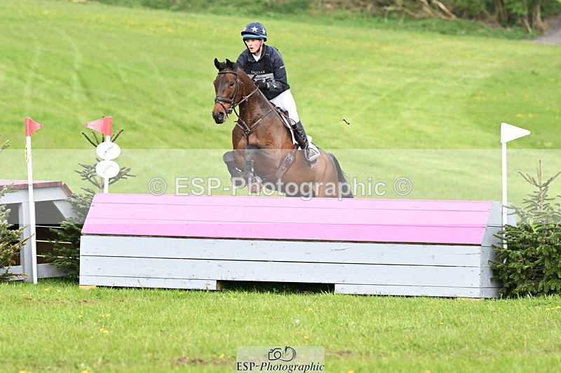 250419-170046-13545 - 855-Harry.Horton-STONEPARK.METRO