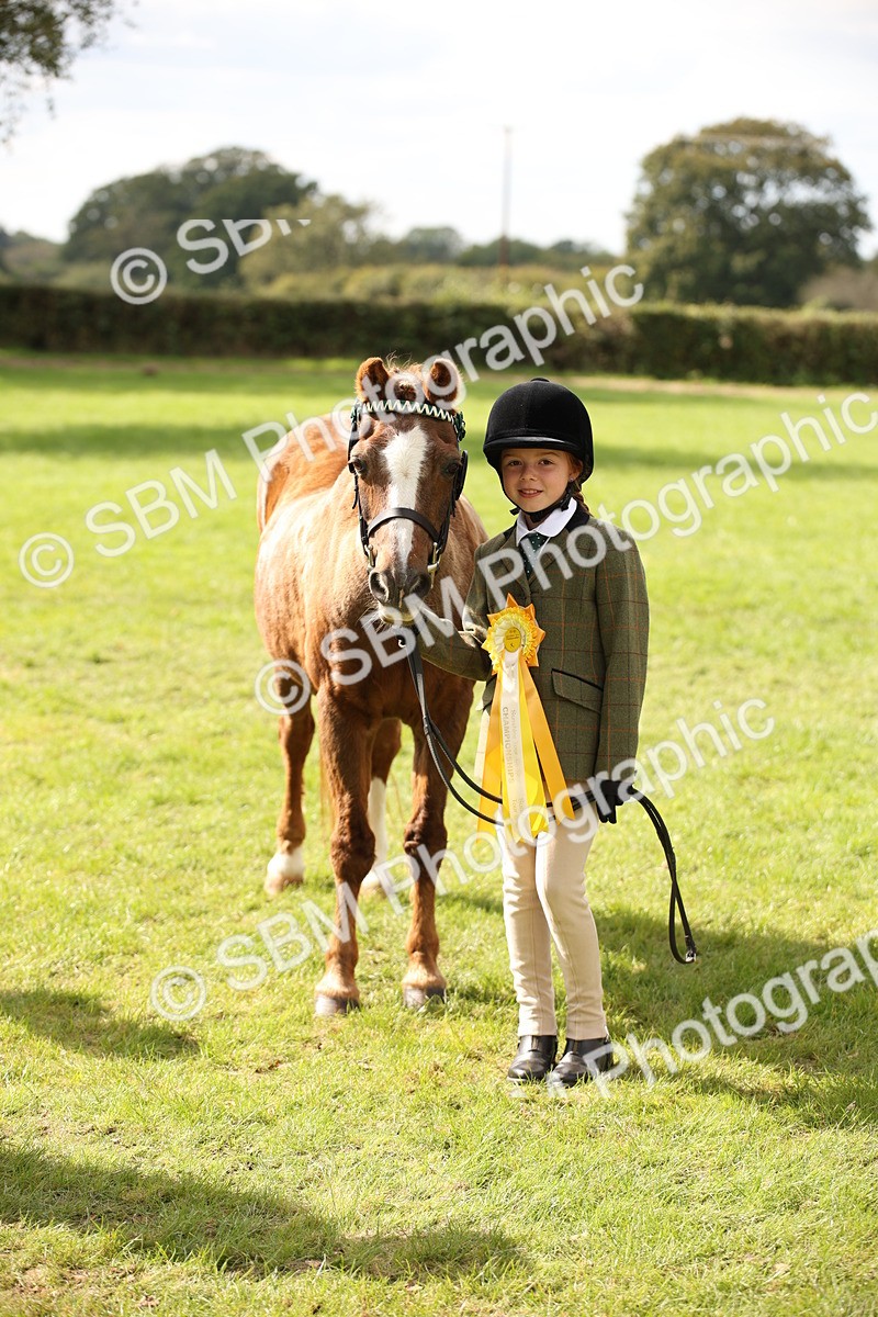 SBM_46422 - S25 - Mature Veteran In Hand