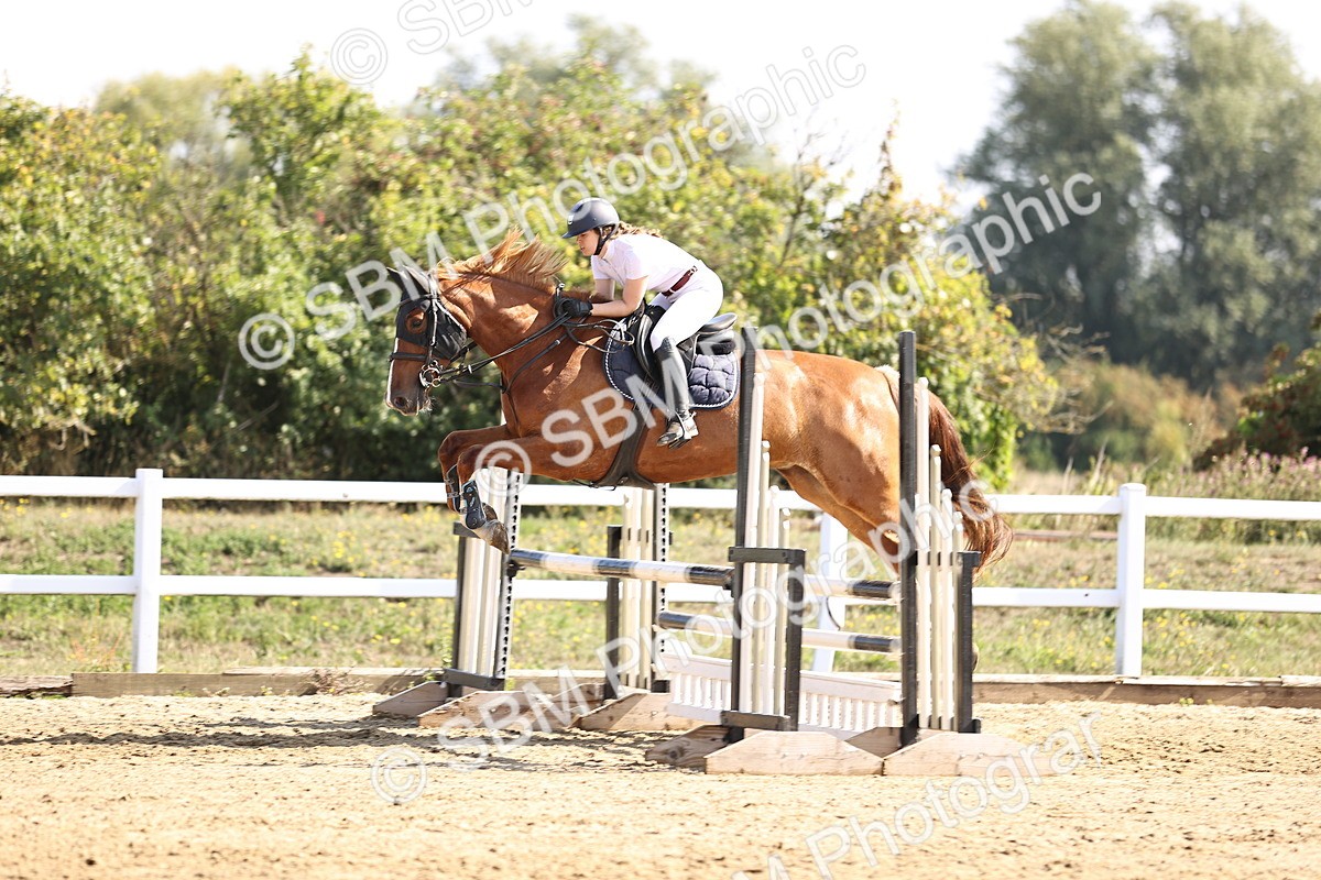 SBM_005646 - Class 9 - Senior British Novice - 90cm