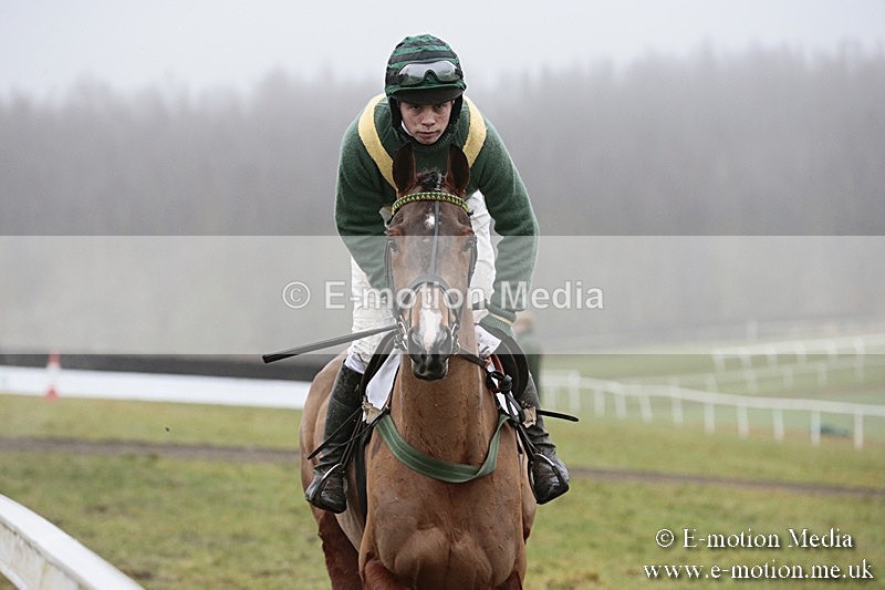 PtP 200118 247 - Barbury International Racing Club Point-to-Point 20/01/18