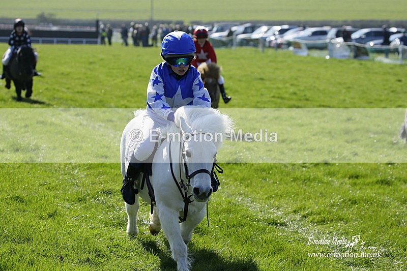 PtP 190322 26 - Wilton Hunt PtP Milborne St Andrew 19/03/22