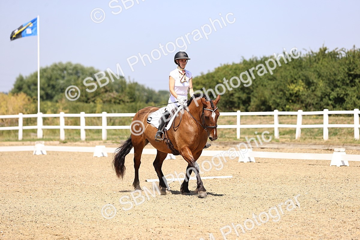 SBM_004001 - Intro 2