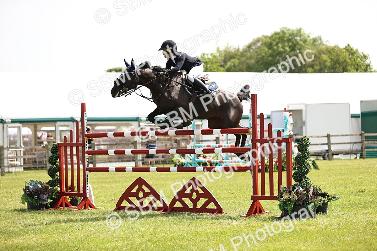 SBM_03968 - Class 201 - British Horse Feedds Speedi Beet HOYS Grade C
