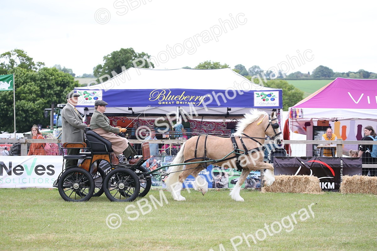 SBM_05618 - Class 12-15 - HOYS Private Driving