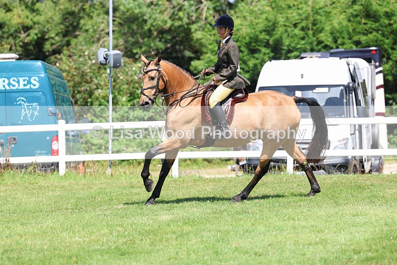 3E7A8976 - Class 6: Open Working Horse