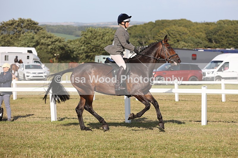 JPP_3289 - Class 21: Working Hunter 80cm