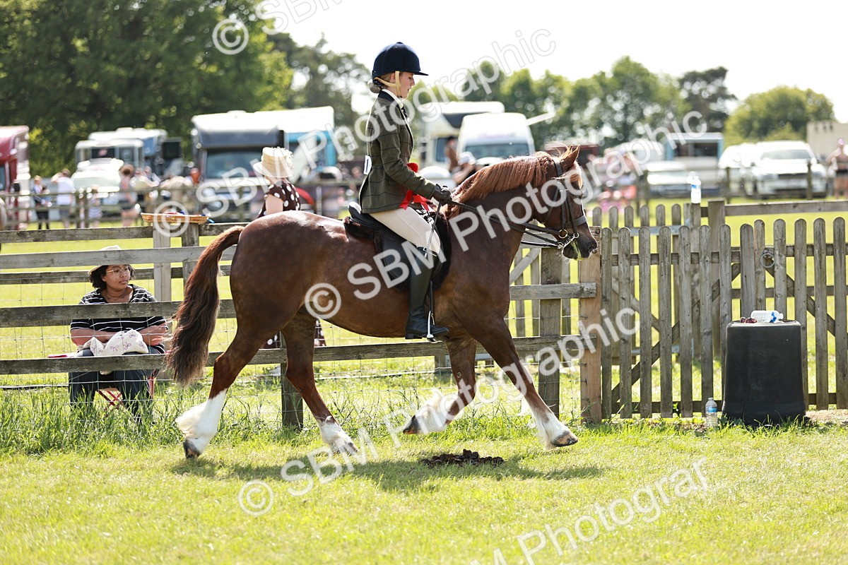 SBM_08474 - Class 61-62 - TSR  M&M Ridden Amateur of the Year