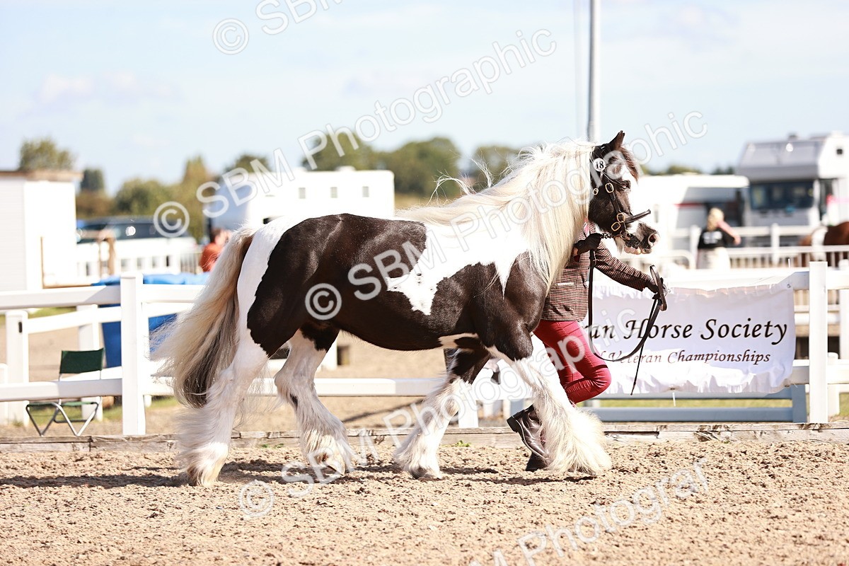 SBM_12563 - Class 404 - IH Traditional - Native Cob