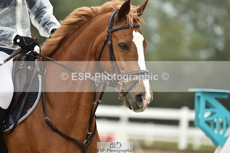 220829A-172222-00417 - 80cm Classes 5a 5b & 6