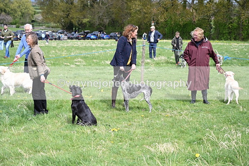 WJ6_8218 - Class 4 Prettiest Bitch