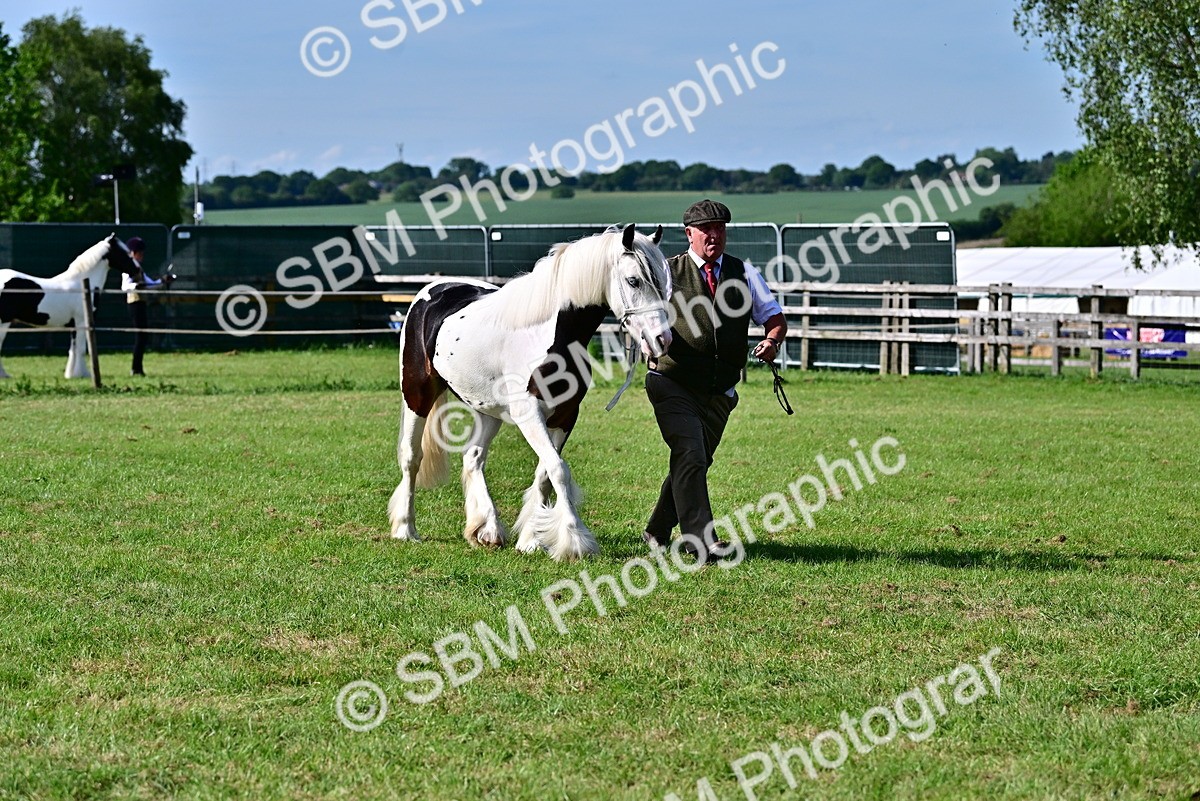 SBM_10037 - Class 63-65 - Traditional Gypsy Cobs In Hand & Ridden