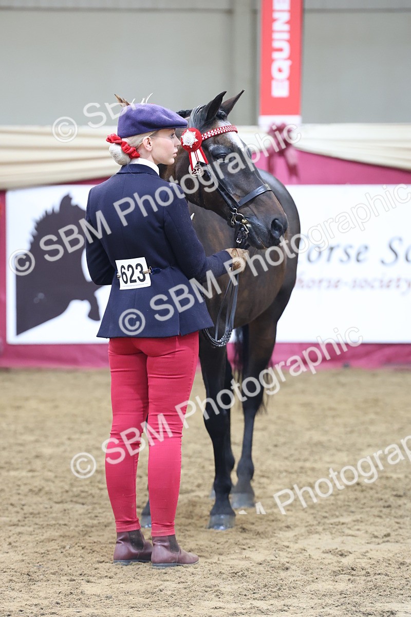 SBM_21890 - Class 901 - Supreme Final - IH  Diamond