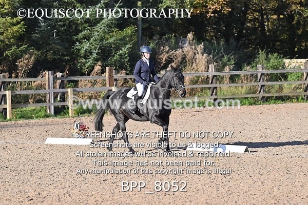 BPP_8052 - LONG ARENA