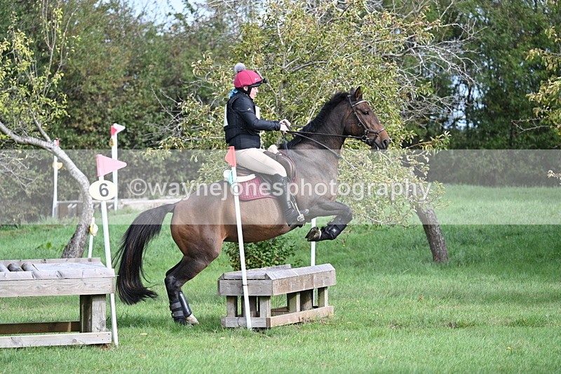 WJ7_8310 - 60cm Pairs