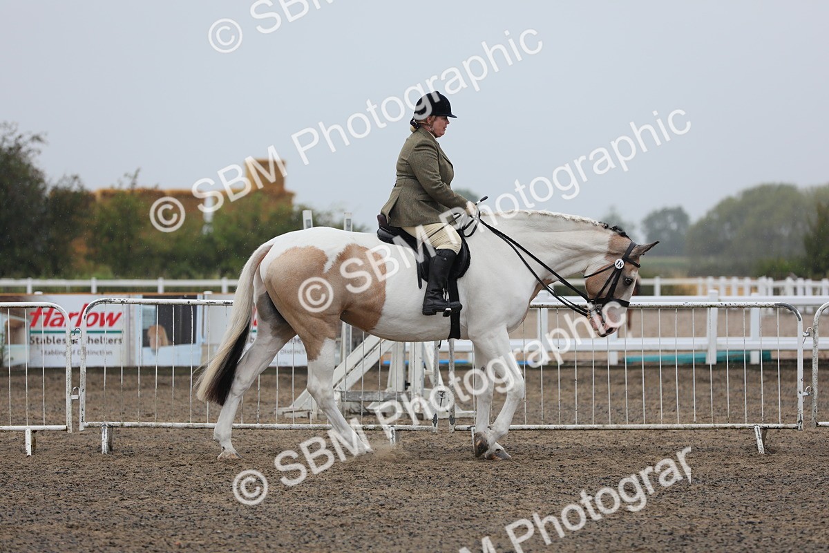 SBM_20267 - Class 803 - Ridden Combination 65+