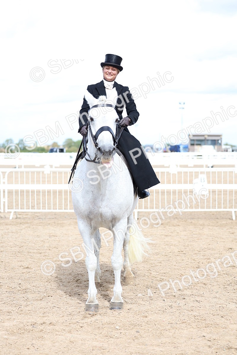 SBM_03228 - Class 22 - SSA Equitation (any age)
