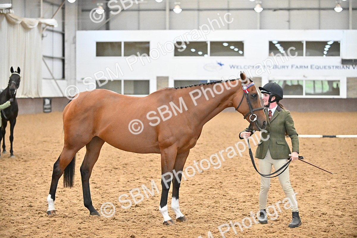 SBM_000134 - Class 6 - BSHA In Hand Racehorse to Show Horse