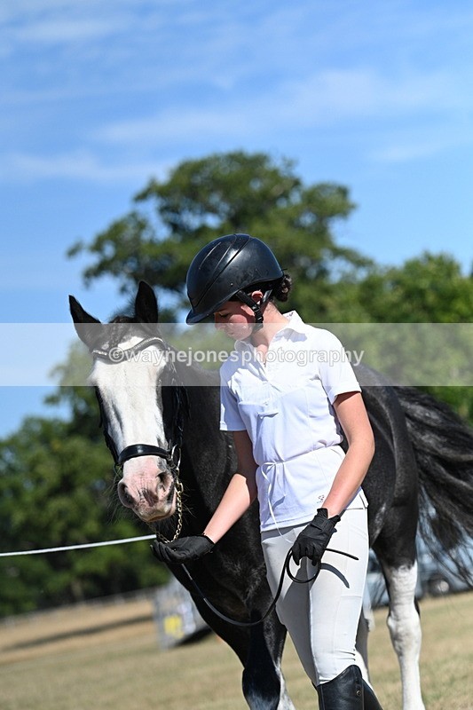 WJ7_1808 - Class 43 Best Six Legs (In hand)