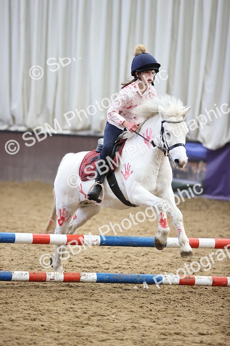 SBM_001423 - Class 3 - Horse & Hound 60cm