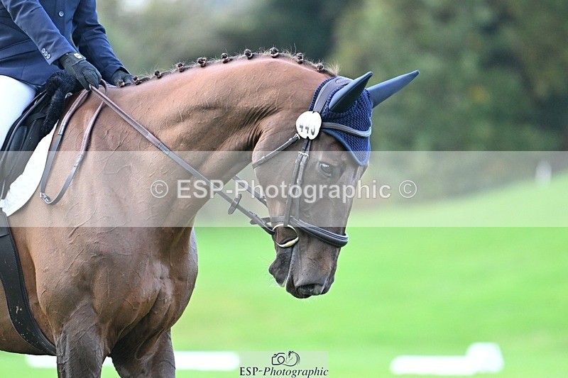 241025-094234-05843 - 443-Bethan.O'Dell-RED.VICO