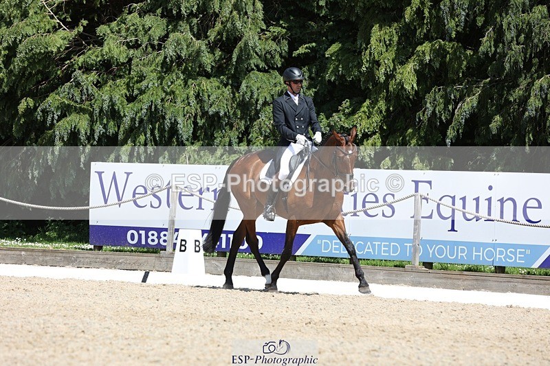 230526-140805-06456 - 371-JERPOINT_ECLIPSE-Max_Gordon-WEDTrotUp+DR