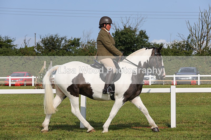 1X9A3212 - Class 28: Ridden Native/Trad Coloured Pony