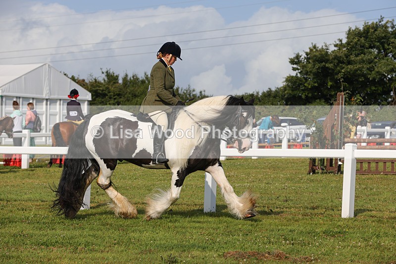 1X9A3218 - Class 28: Ridden Native/Trad Coloured Pony