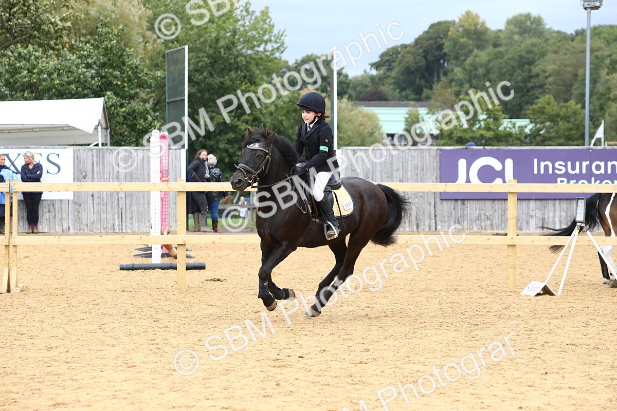 SBM_68220 - J3b - Mini Tour Junior Pony 40cm Championship