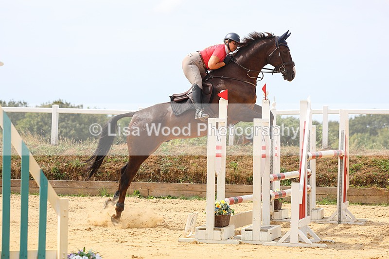 3E7A4297 - Class 8: Senior Foxhunter/1.20 open
