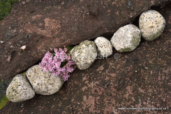 11 - WEST of SCOTLAND