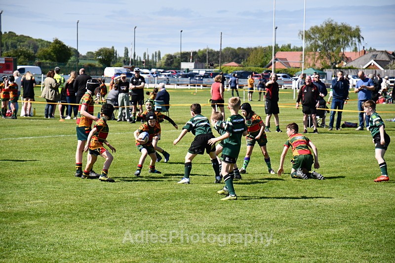  - Selby Rugby Festival 2025
