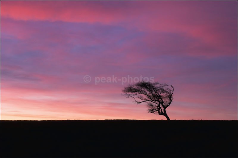 purple sunrise - Peak District | Dark Peak