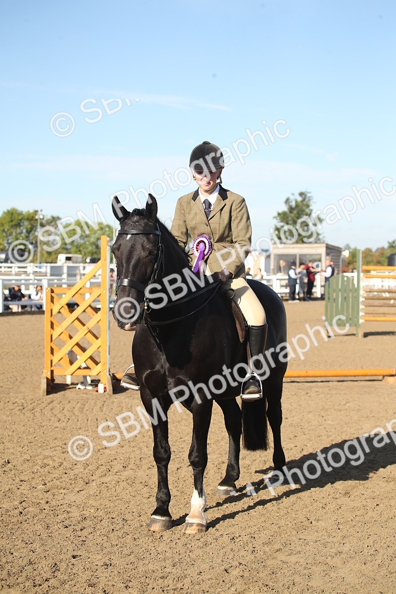 SBM_11596 - Class 502 - Riding Club Horse