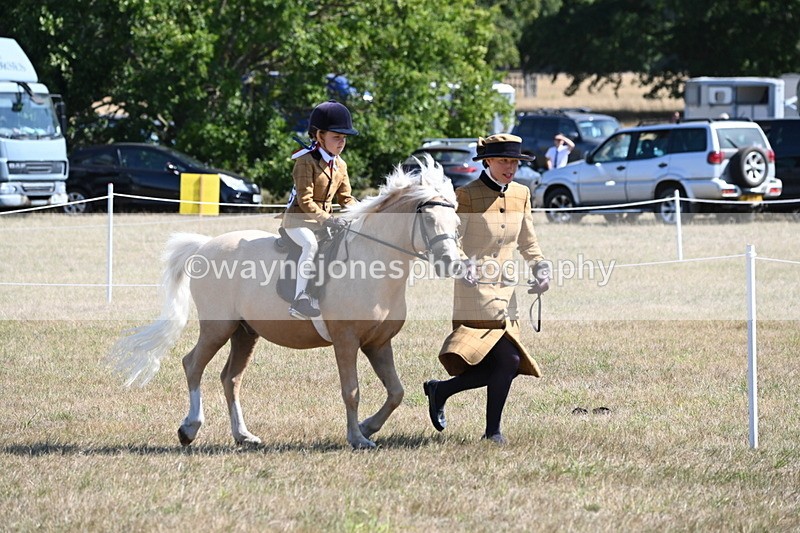 WJ6_7741 - Class 36 Lead Rein