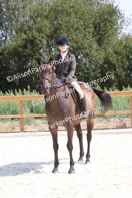 20260802-0745 - Class 8 - Best Riding Horse or Pony