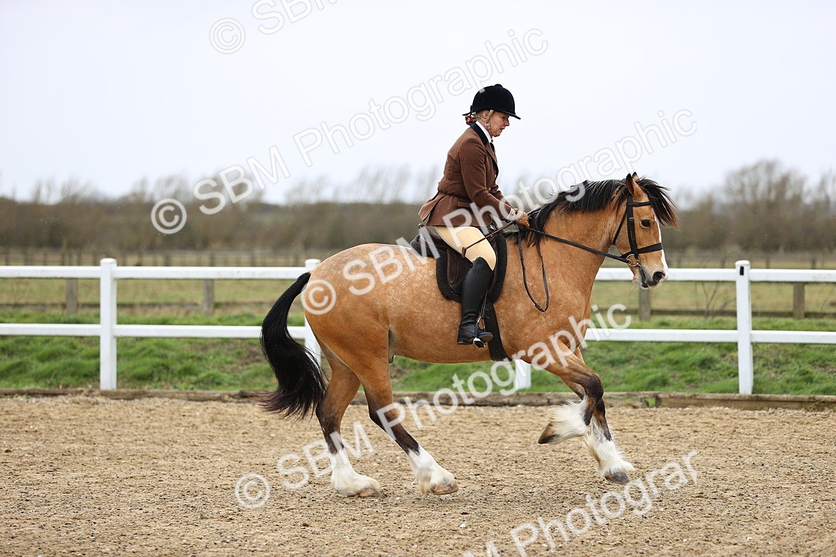 SBM_007528 - Class 31-32 - M&M Confined Novice Small-Large