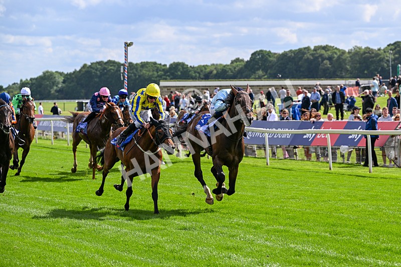 120626-Race 5-Antipodes-7827 - Race 5 16.10pm Sky Bet The World's Gone Football Handicap
