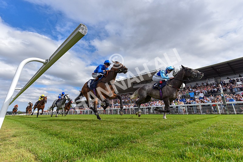 140824-Race 5-Havana Blue-3462 - Race 5