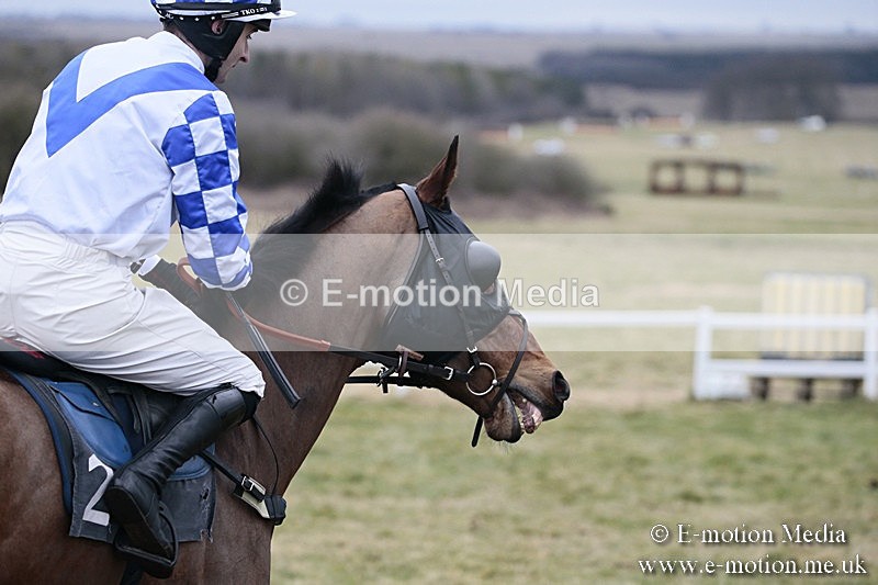 PtP 180218 472 - Combined Services Point-to-Point Larkhill 18/02/18