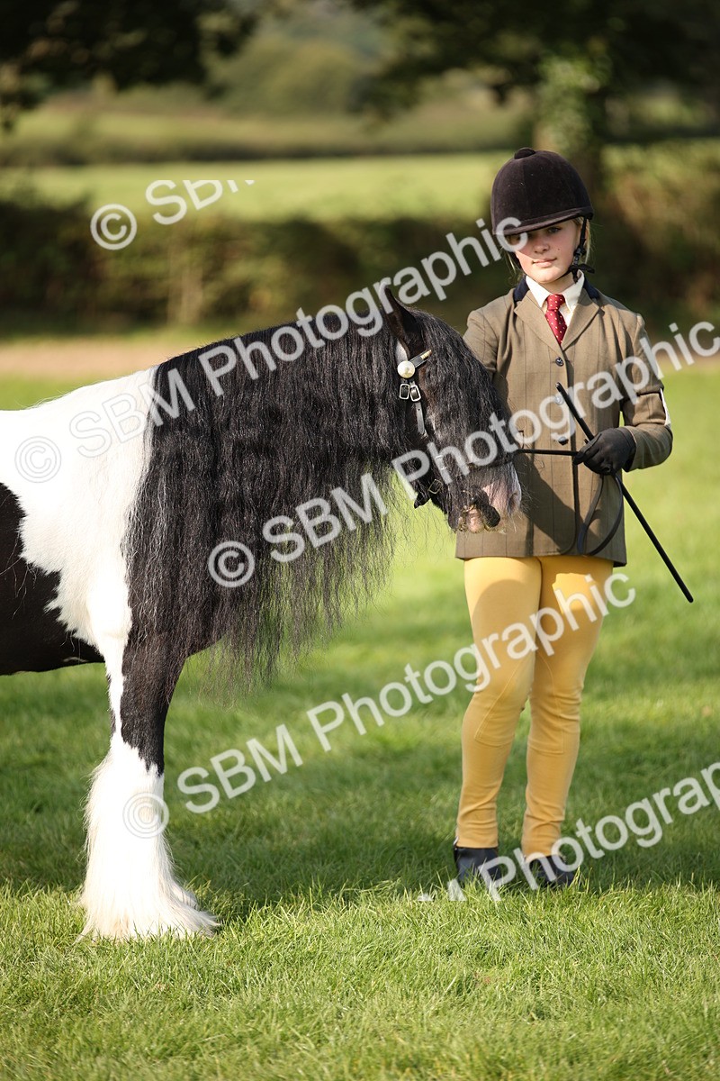 SBM_62225 - S55 - Traditional Cob In Hand