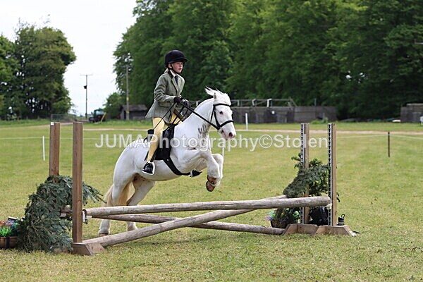 IMG_3010 - Working Hunter