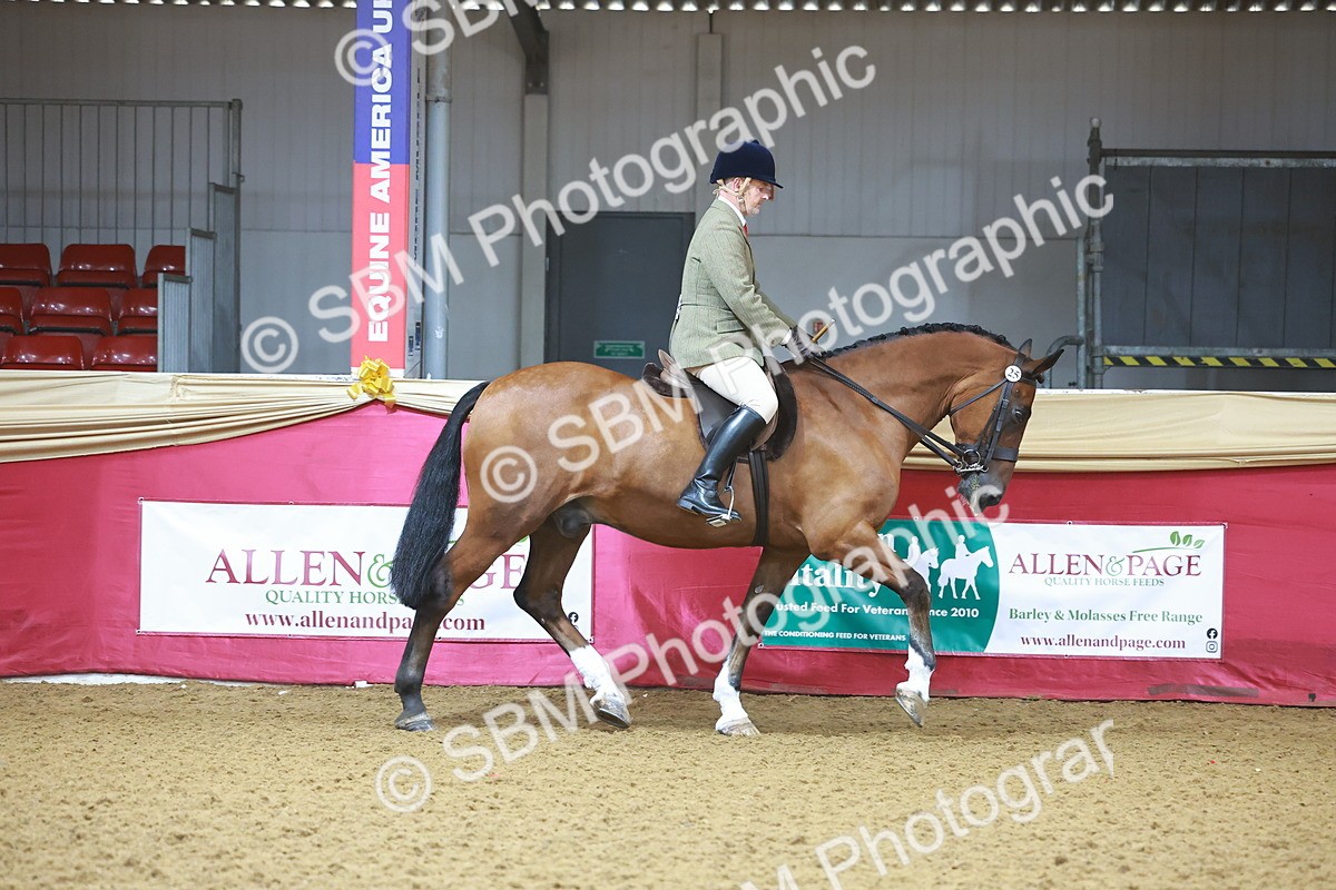 SBM_07594 - Class 101 - HOYS Veteran Qualifier - Ridden Diamond
