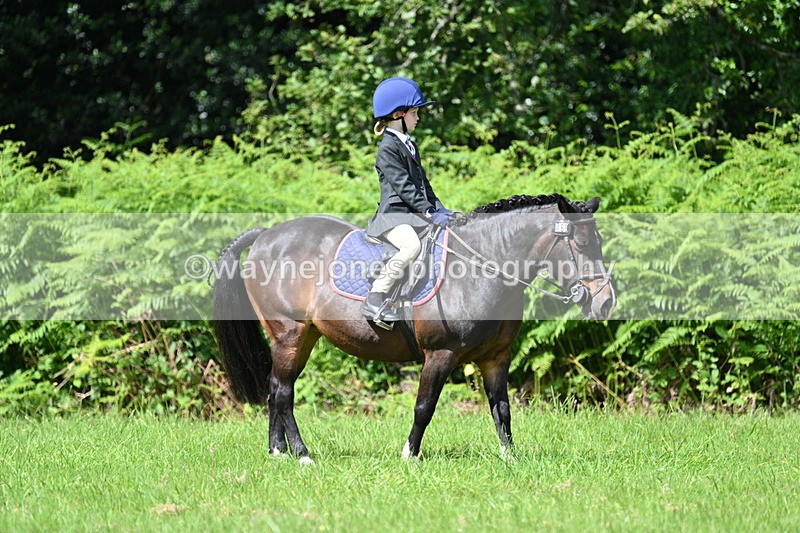WJ7_1220 - Class 11 Condition & Turnout