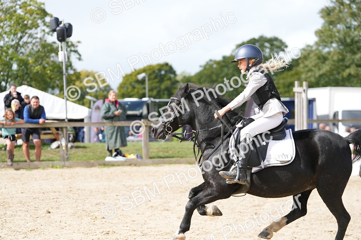SBM_40770 - Supreme Championship Pony 50-55cm