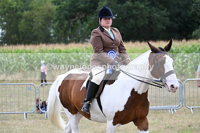 WJ7_5685 - Class 12 Ridden Cob